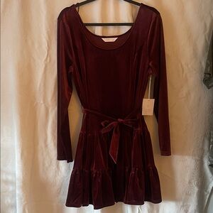 LC Lauren Conrad Deep Red Velvet Dress